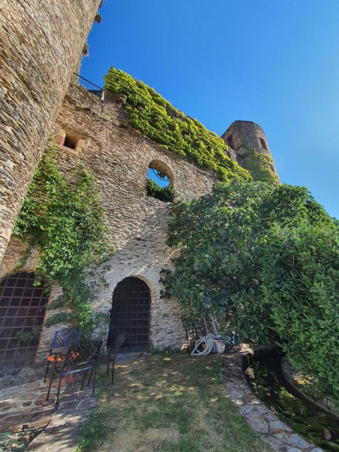 Chambre D'Hotes Au Chateau De Belcastel Belcastel  Ngoại thất bức ảnh