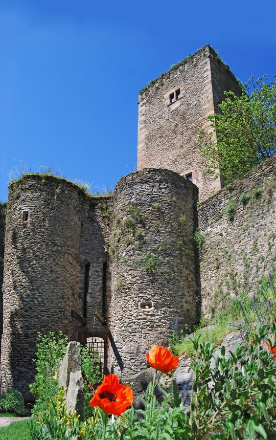 Chambre D'Hotes Au Chateau De Belcastel Belcastel  Ngoại thất bức ảnh