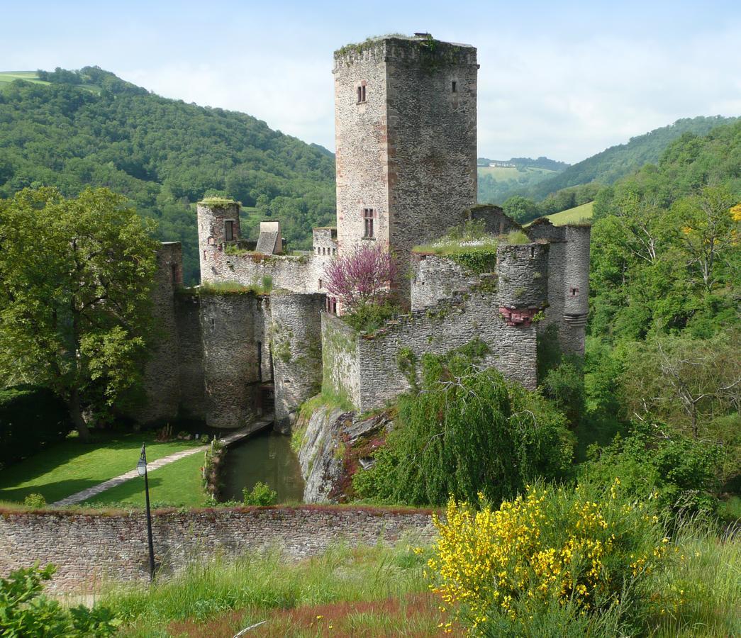 Chambre D'Hotes Au Chateau De Belcastel Belcastel  Ngoại thất bức ảnh